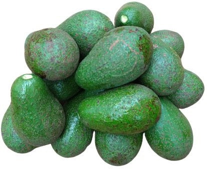 Avocado fruit