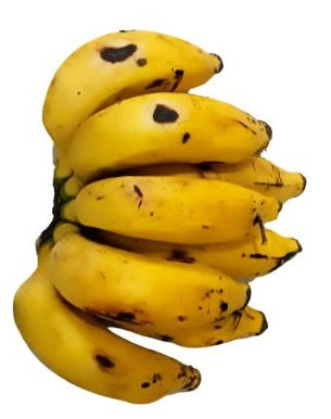 Banana rippened per bunch