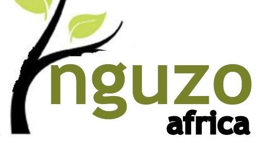 Nguzo Africa